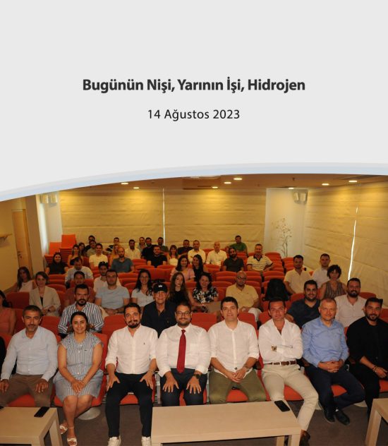 Bugünün Nişi, Yarının İşi, Hidrojen